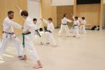 Students practicing a sparring drill - sanbon kumite
