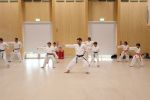Students on move 6 of heian nidan