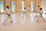 Practicing kihon (basic techniques). Students practicing lunge punch.